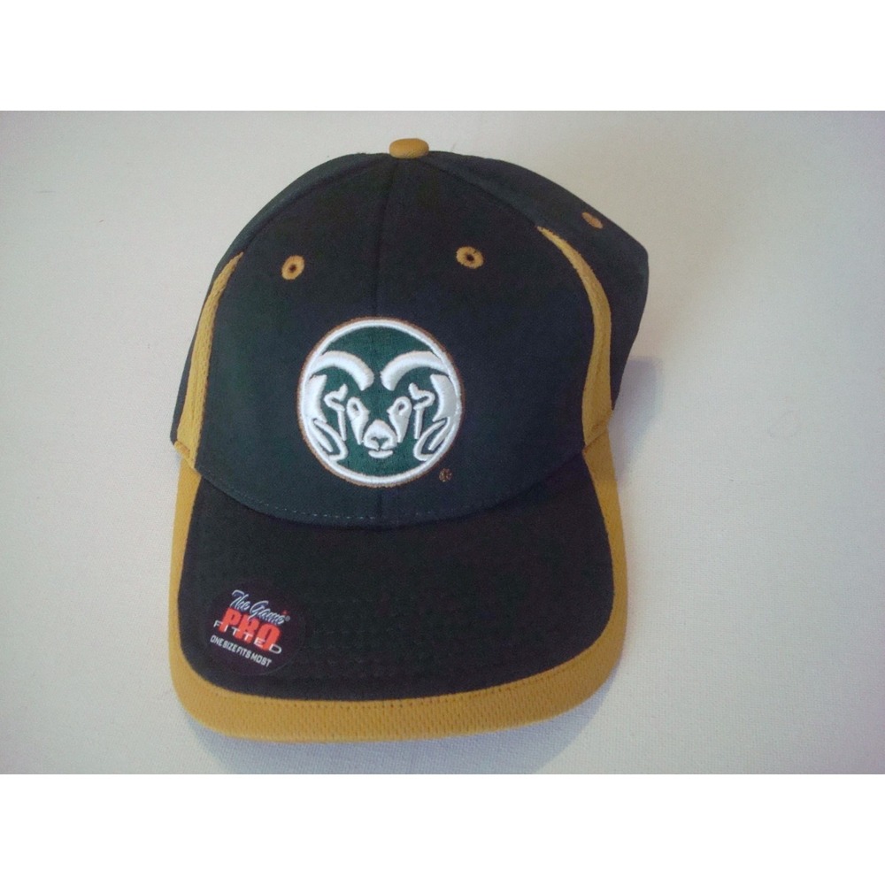 COLORADO STATE THE GAME   BEACH GOLF FITTED BEACH 00S Y2K  HAT CAP VINTAGE  X1